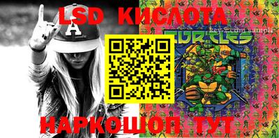 кокс Донской