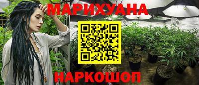 кокс Донской
