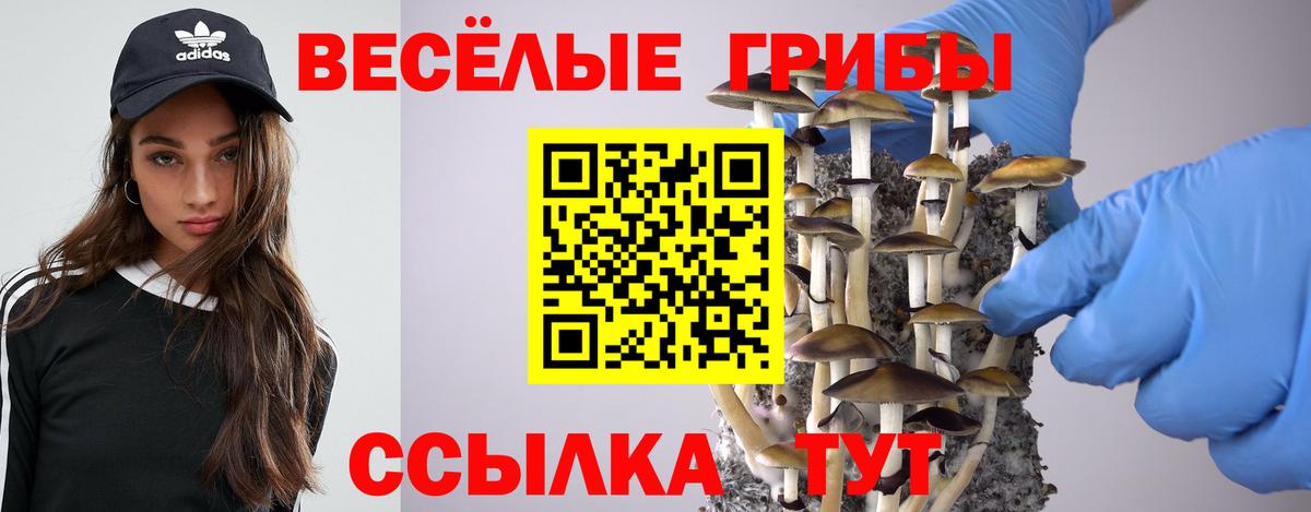 Лыткарино  Псилоцибиновые грибы ЛСД  Галлюциногенные грибы ЛСД  Вход с VPN 